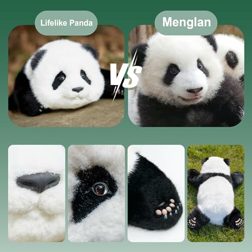 Comparison of two panda toys, lifelike panda and Menglan, with close-up details.